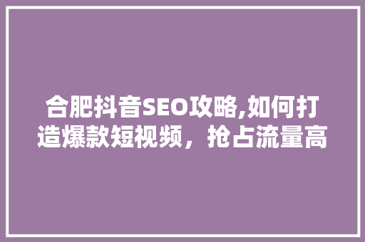 合肥抖音SEO攻略,如何打造爆款短视频，抢占流量高地