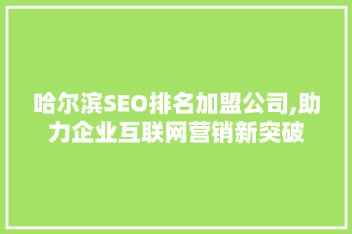 哈尔滨SEO排名加盟公司,助力企业互联网营销新突破