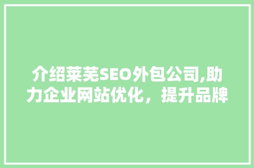 介绍莱芜SEO外包公司,助力企业网站优化，提升品牌影响力