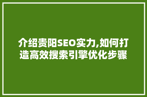 介绍贵阳SEO实力,如何打造高效搜索引擎优化步骤