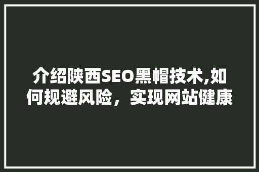 介绍陕西SEO黑帽技术,如何规避风险，实现网站健康优化