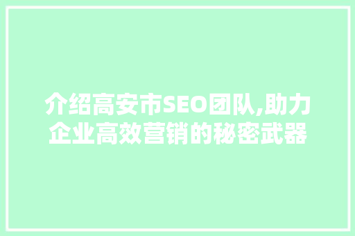 介绍高安市SEO团队,助力企业高效营销的秘密武器