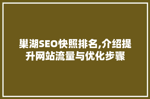 巢湖SEO快照排名,介绍提升网站流量与优化步骤