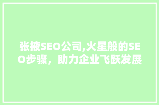 张掖SEO公司,火星般的SEO步骤，助力企业飞跃发展  第1张