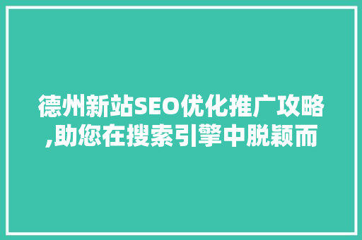 德州新站SEO优化推广攻略,助您在搜索引擎中脱颖而出