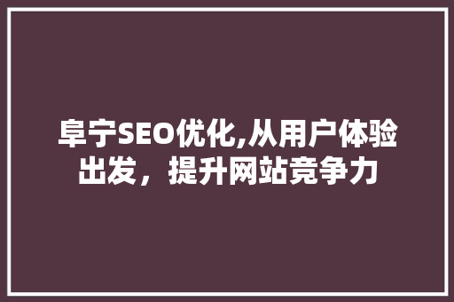 阜宁SEO优化,从用户体验出发，提升网站竞争力