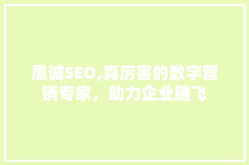 愚诚SEO,真厉害的数字营销专家，助力企业腾飞