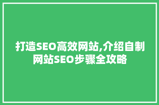 打造SEO高效网站,介绍自制网站SEO步骤全攻略