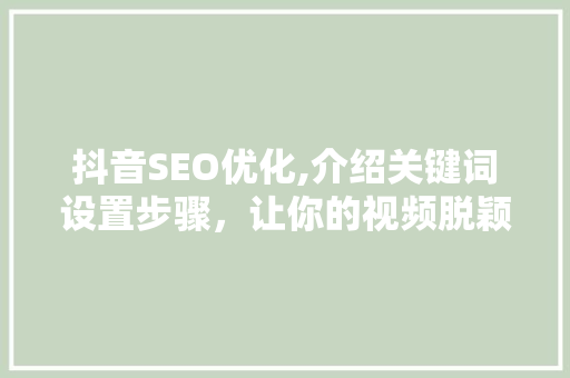 抖音SEO优化,介绍关键词设置步骤，让你的视频脱颖而出！