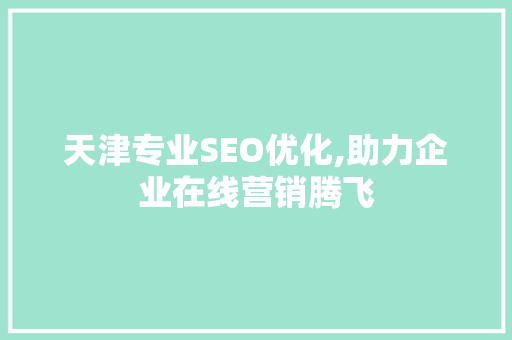 天津专业SEO优化,助力企业在线营销腾飞