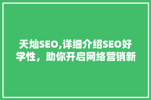 天灿SEO,详细介绍SEO好学性，助你开启网络营销新篇章