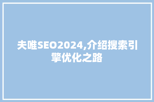 夫唯SEO2024,介绍搜索引擎优化之路