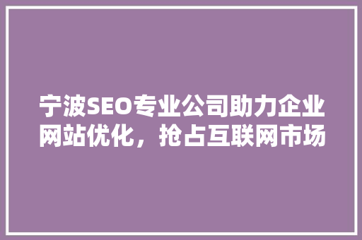 宁波SEO专业公司助力企业网站优化，抢占互联网市场先机