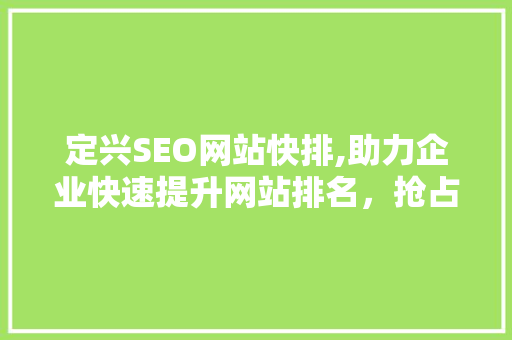 定兴SEO网站快排,助力企业快速提升网站排名，抢占市场份额