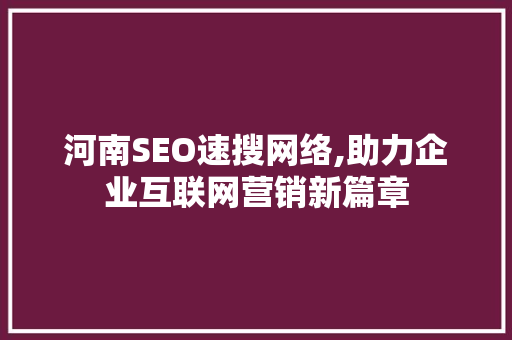 河南SEO速搜网络,助力企业互联网营销新篇章