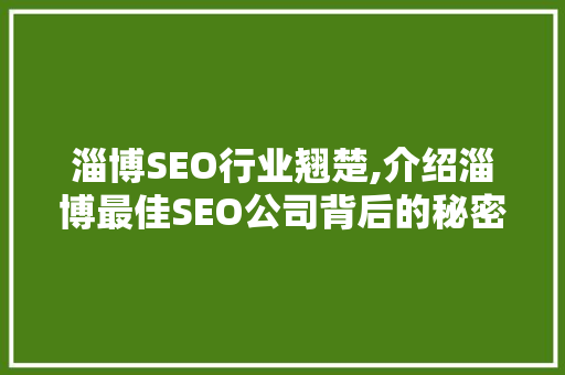 淄博SEO行业翘楚,介绍淄博最佳SEO公司背后的秘密