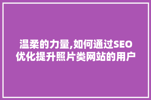 温柔的力量,如何通过SEO优化提升照片类网站的用户体验与搜索排名