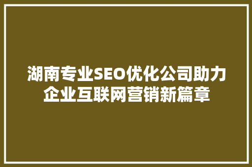 湖南专业SEO优化公司助力企业互联网营销新篇章