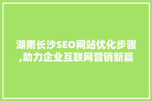 湖南长沙SEO网站优化步骤,助力企业互联网营销新篇章