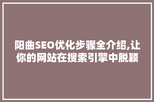 阳曲SEO优化步骤全介绍,让你的网站在搜索引擎中脱颖而出