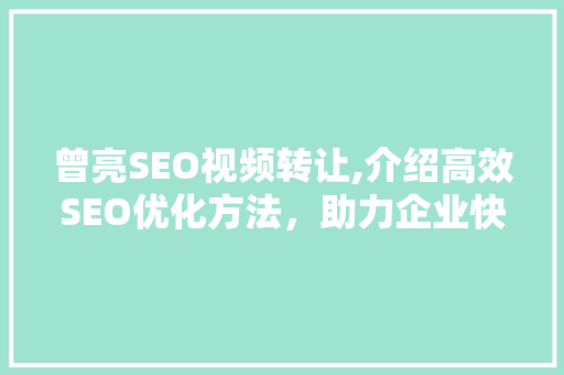 曾亮SEO视频转让,介绍高效SEO优化方法，助力企业快速崛起  第1张