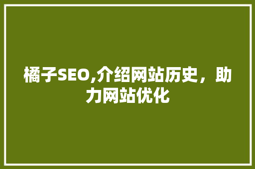橘子SEO,介绍网站历史，助力网站优化