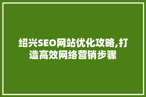 绍兴SEO网站优化攻略,打造高效网络营销步骤