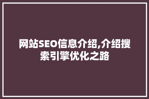 网站SEO信息介绍,介绍搜索引擎优化之路