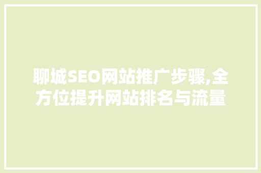 聊城SEO网站推广步骤,全方位提升网站排名与流量