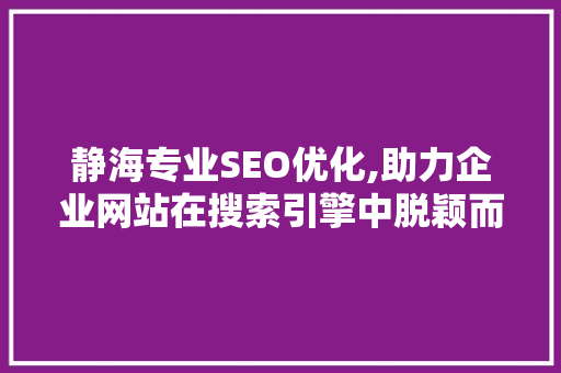 静海专业SEO优化,助力企业网站在搜索引擎中脱颖而出