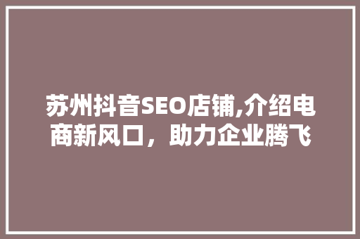 苏州抖音SEO店铺,介绍电商新风口，助力企业腾飞
