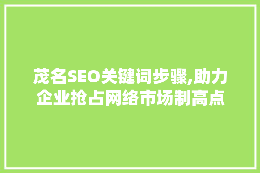 茂名SEO关键词步骤,助力企业抢占网络市场制高点