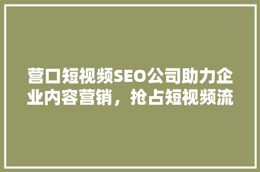营口短视频SEO公司助力企业内容营销，抢占短视频流量高地