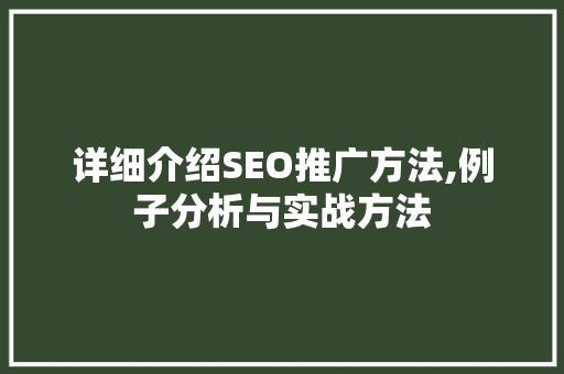 详细介绍SEO推广方法,例子分析与实战方法