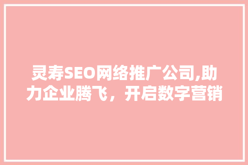 灵寿SEO网络推广公司,助力企业腾飞，开启数字营销新篇章