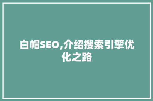白帽SEO,介绍搜索引擎优化之路