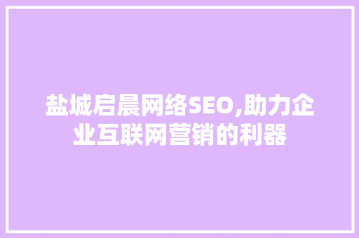 盐城启晨网络SEO,助力企业互联网营销的利器