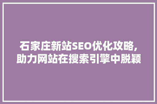 石家庄新站SEO优化攻略,助力网站在搜索引擎中脱颖而出