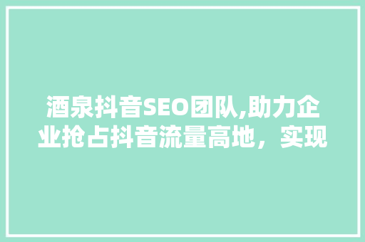 酒泉抖音SEO团队,助力企业抢占抖音流量高地，实现品牌腾飞