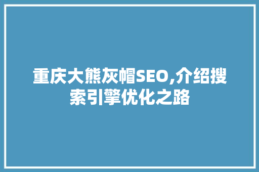 重庆大熊灰帽SEO,介绍搜索引擎优化之路