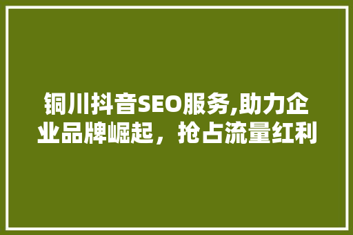 铜川抖音SEO服务,助力企业品牌崛起，抢占流量红利