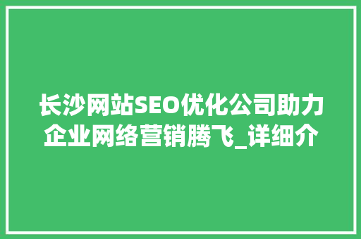 长沙网站SEO优化公司助力企业网络营销腾飞_详细介绍长沙地区优化步骤