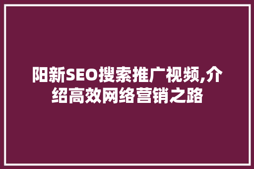 阳新SEO搜索推广视频,介绍高效网络营销之路