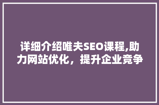 详细介绍唯夫SEO课程,助力网站优化，提升企业竞争力