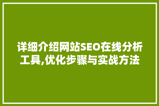 详细介绍网站SEO在线分析工具,优化步骤与实战方法