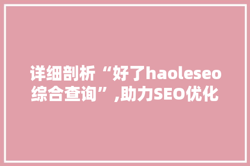 详细剖析“好了haoleseo综合查询”,助力SEO优化，提升网站排名的利器