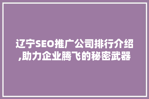 辽宁SEO推广公司排行介绍,助力企业腾飞的秘密武器
