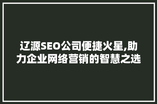 辽源SEO公司便捷火星,助力企业网络营销的智慧之选