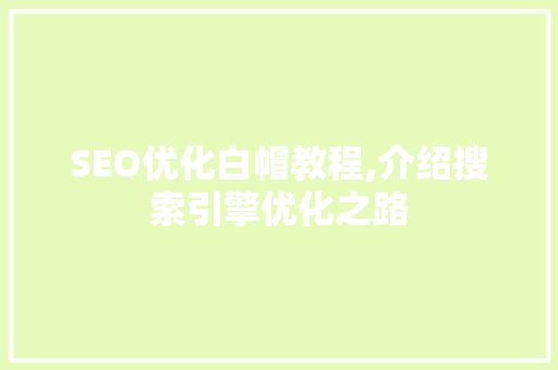 SEO优化白帽教程,介绍搜索引擎优化之路