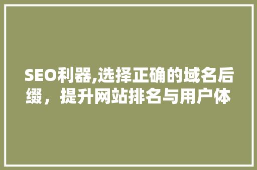 SEO利器,选择正确的域名后缀，提升网站排名与用户体验